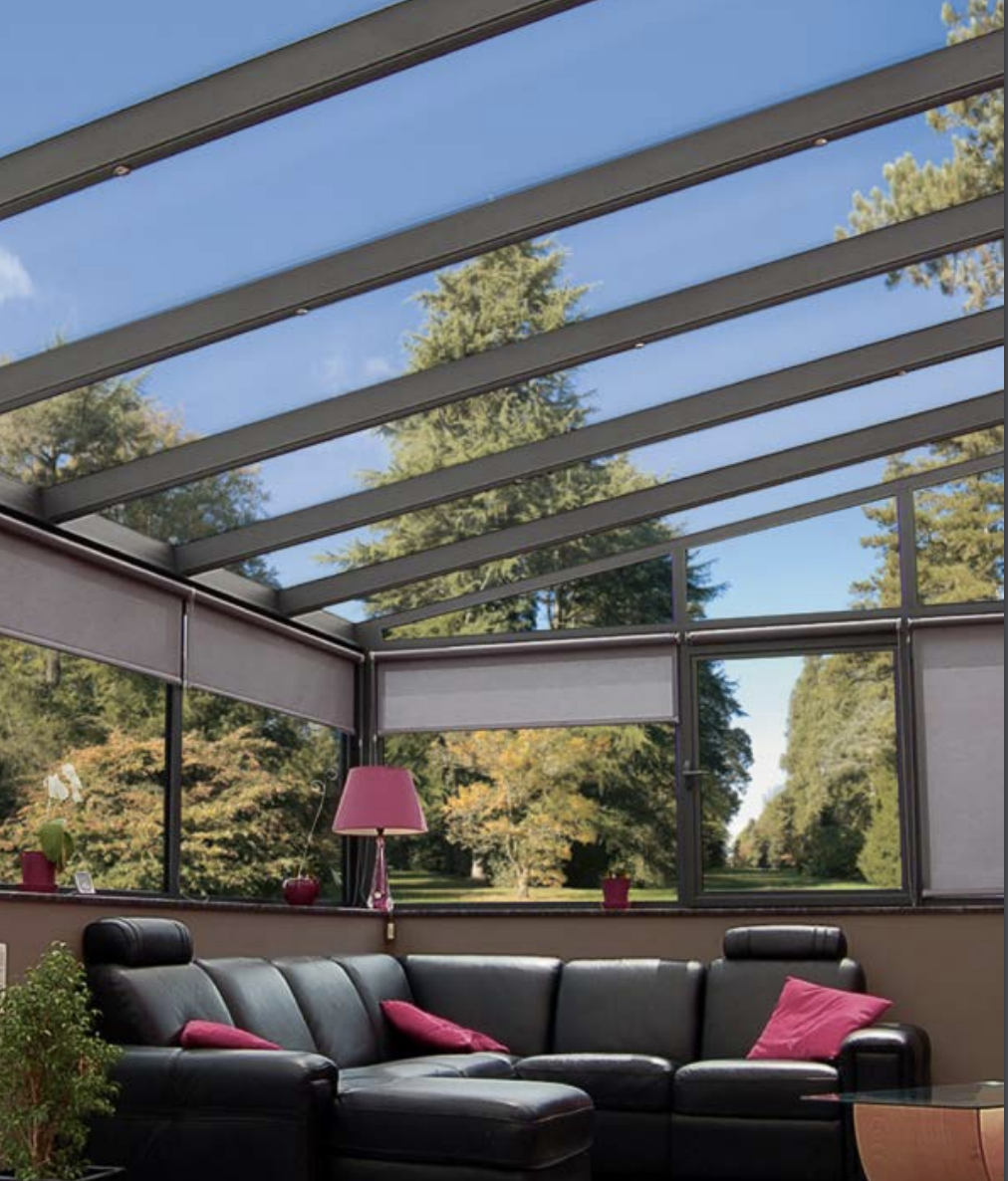 coupe de détail de la verrière THERM +  en acie